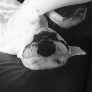 Meet your Posher, Lynn